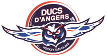 Logo des Ducs d'Angers