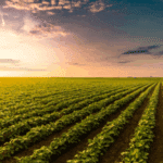 08H08 Avocats continue à accompagner le groupe EMIL FREY FRANCE dans le développement de sa branche agricole