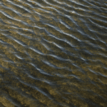 procédures collectives